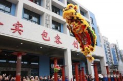 醒狮贺岁，乐鱼app登录入口-乐鱼(中国)2019年开工大吉